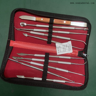 Dental Instrument Kits 10pcs/set OSA-L107- 10