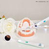 Dental Disposable Mirror with Light