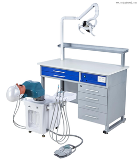 Four-Handed Operation Luxury Simulation for 1 Student