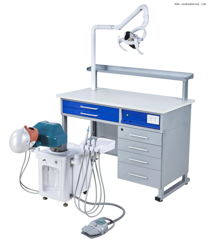 Four-Handed Operation Luxury Simulation for 1 Student