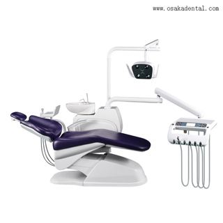 Economic Dental Chair with Dentist Stool