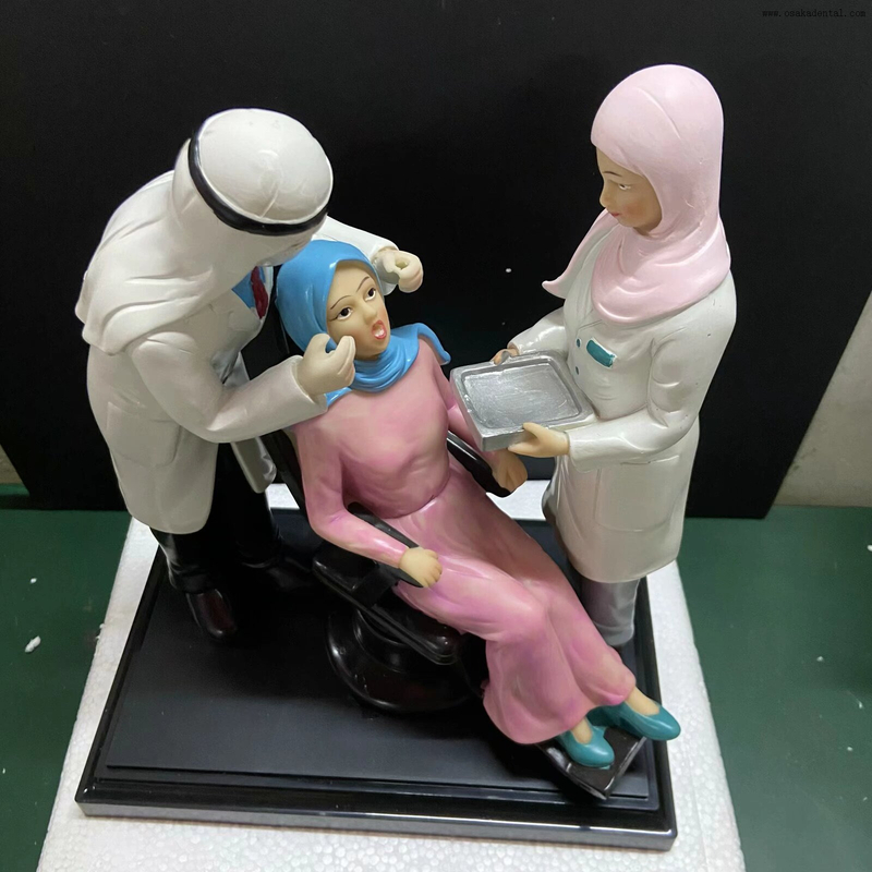 Precision Dental Model with Resin material Dentist model shape for Dental clinic Decoration
