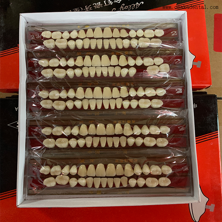 Dental Arylic Resin FalseTeeth 