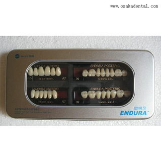 Dental PVC-Steel Resin Teeth OSA-A-Teeth1