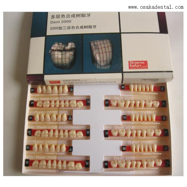 Dental Heraeus 2000 Resin Arylic Teeth OSA-Heraeus 2000