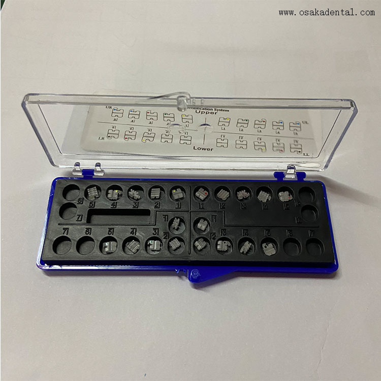Dental Economic Orthodontic Ceramic Bracket