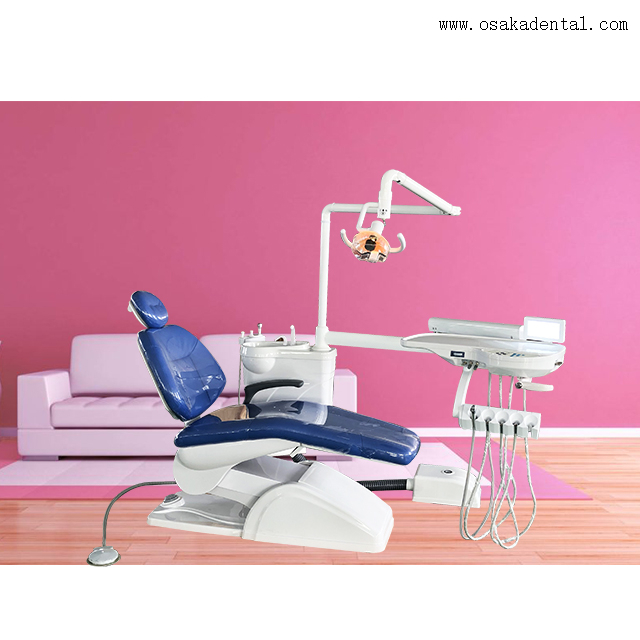 Leather Dental Chair