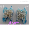 Dental Resin Teeth Temporary Policarbonate Crowns OSA-F311-2