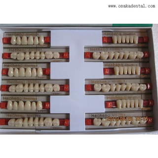 Dental Resin Arylic Teeth OSA-A-Teeth3