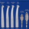 Fiber Optic High Speed Handpiece with 4 Holes Or 6 Holes Coupling