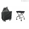 Light Weight And Tight Structure Portable Dental Chair