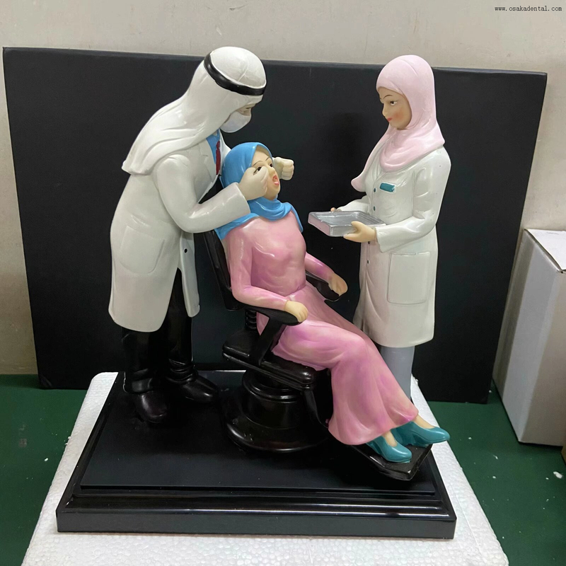 Precision Dental Model with Resin material Dentist model shape for Dental clinic Decoration