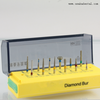 FG Diamond Dental Bur Kit