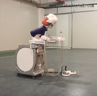 Teaching Dental Simulation Practice Manikin With Torso