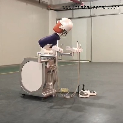 Teaching Dental Simulation Practice Manikin With Torso