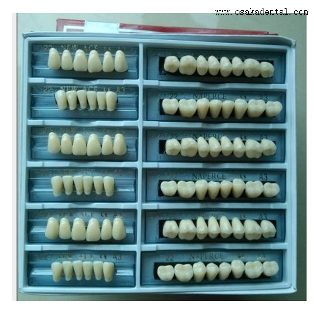 Dental Economic Resin Arylic Teeth OSA-B-Teeth6