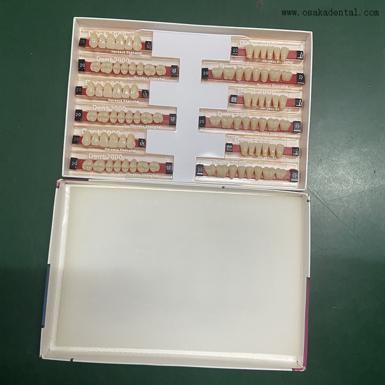 Dental Heraeus 2000 Resin Teeth