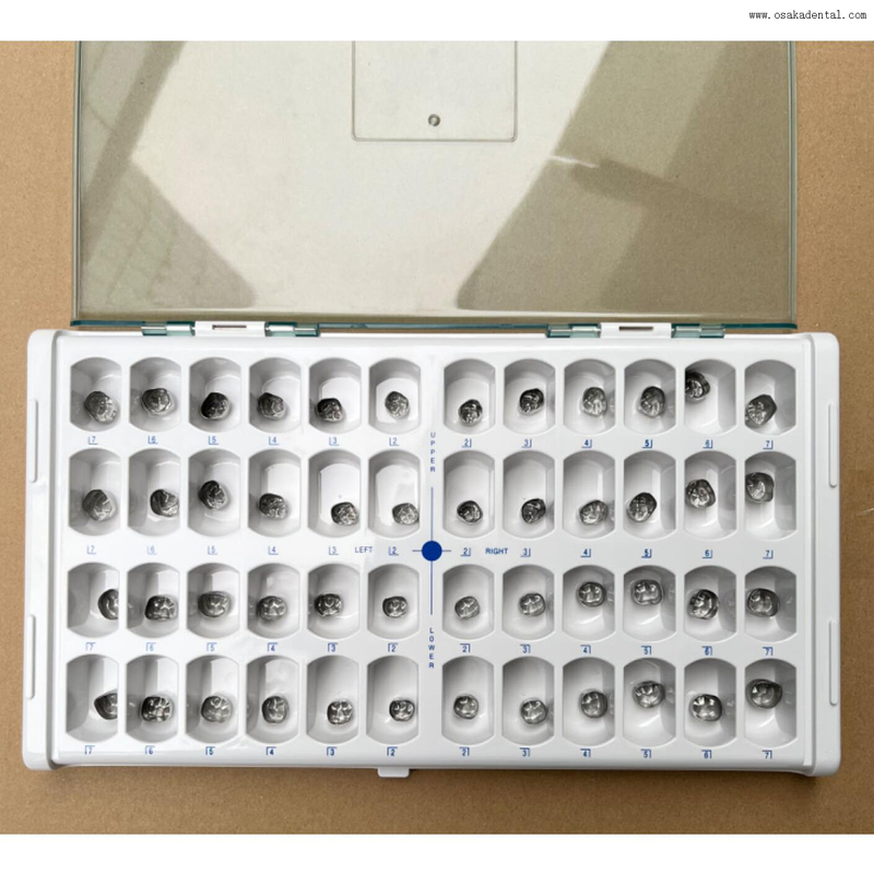 Dental Clinic Use Stainless Steel Teeth Crown for Adult 