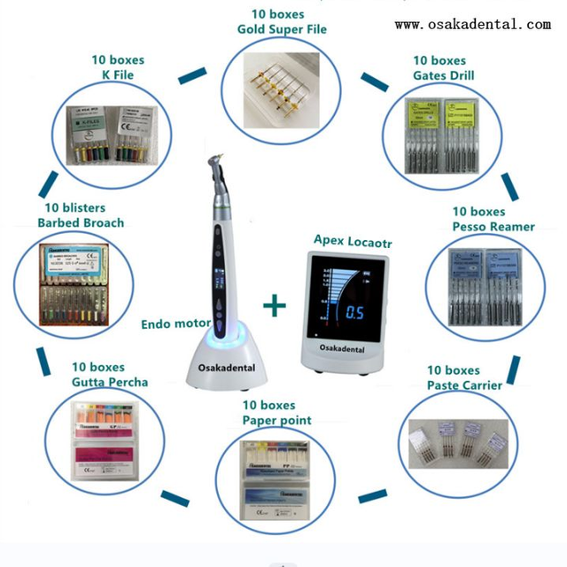 Dental Endo Motor with Apex Location And Endo File