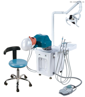 Electrical Simulation Phantom With Body-Nissin Type And Silicon Mask Can Add Tube