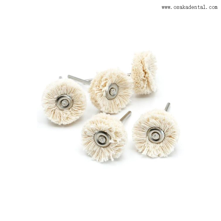 Dental Polishing Small Brushes with Handle