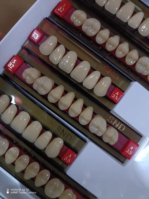 High-Quality Two-Tone Resin Teeth for Natural-Looking Dentures