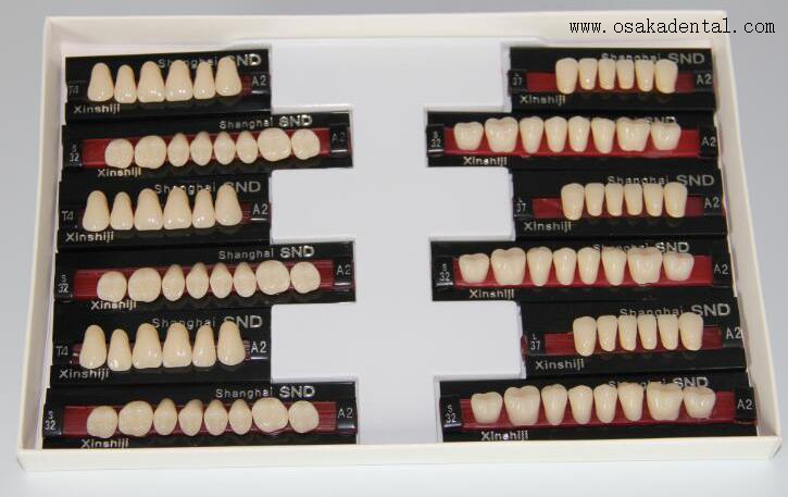 European Quality Dental ResinTeeth Full Set OSA-Teeth-EU
