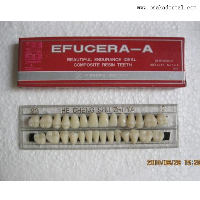 Dental Economic Resin Arylic Teeth OSA-B-Teeth1