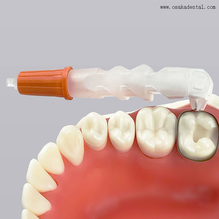 Dental Disposable Wingless Retainer And Matrix Band