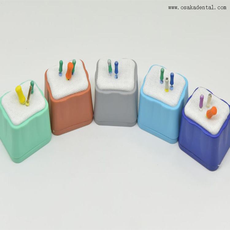 Dental Endo Clean Holder for Endodontic Files