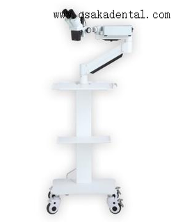 Dental short arm without camera Microscope