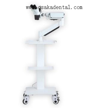 Dental short arm without camera Microscope