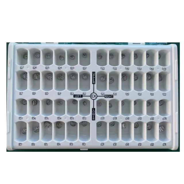 Children Metal Dental Crown Full Set
