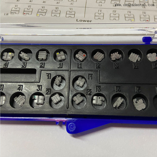 Dental Economic Orthodontic Ceramic Bracket