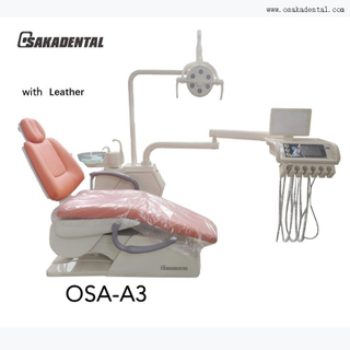 9 Position Stable Dental Unit with Big Leather Set