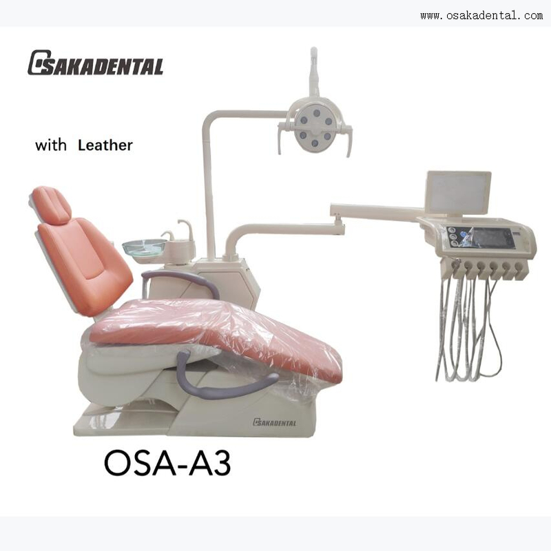 9 Position Stable Dental Unit with Big Leather Set