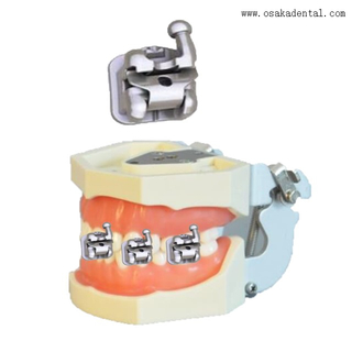 Dental Orthodontic Bracket Self-lock Bracket Dental Self-Ligating Bracket (best quality)