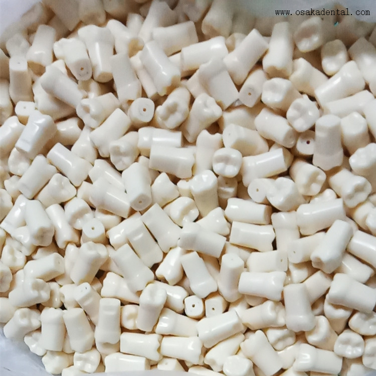 Dental Teeth with screw for study molde OSA-Teeth-N