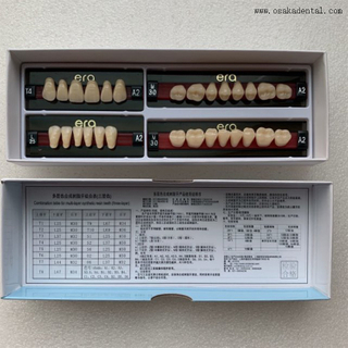 Three Layer Acrylic Dental Artificial Synthetic Resin Teeth