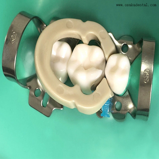 Dental Tight Contacted Sectional Matrix Band
