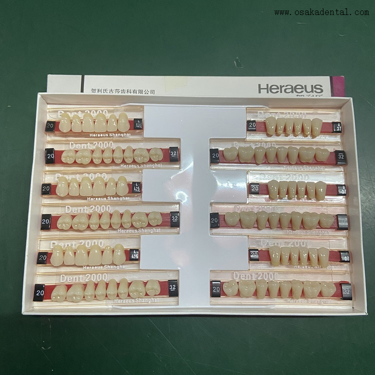 Dental Heraeus 2000 Resin Teeth