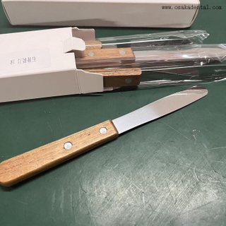 Dental Instrument Spatulas for Dentist