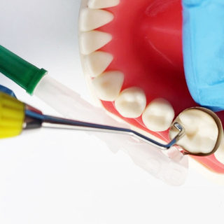 New Disposable Dental Wingless Retainer and Matrix