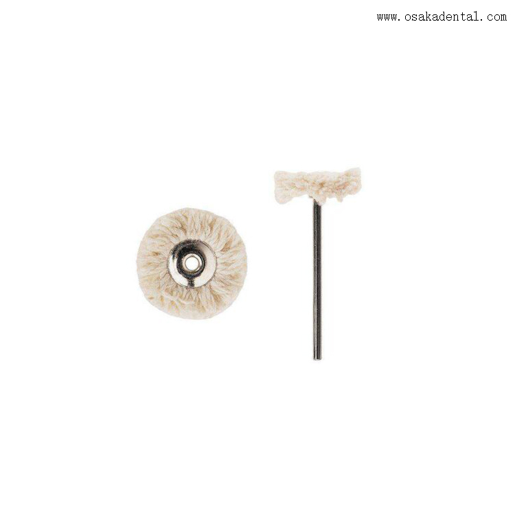 Dental Polishing Small Brushes with Handle