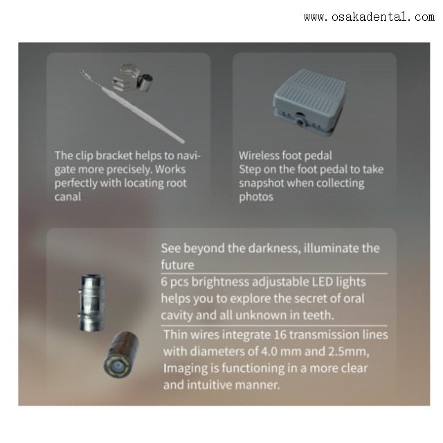 Dental Micro Oral Camera 
