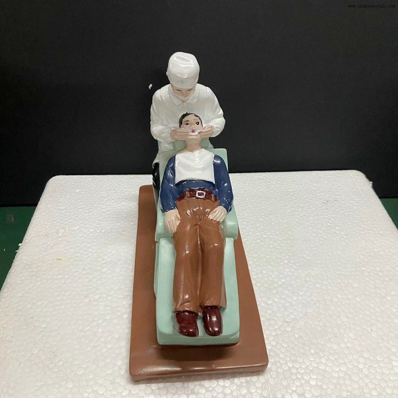 Dental Clinic Display Model of dentist with resin material