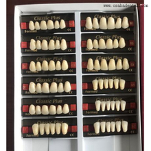 European Quality Dental Resin Teeth Front Teeth OSA-Teeth-EU