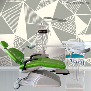 Foot Pedal Economic Dental Chair With Operating Unit