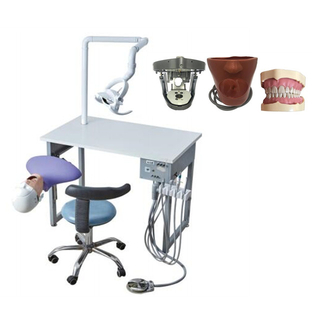 Dental Training System With Workbench for Dental School