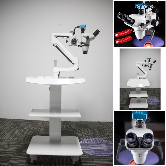 Mobile Dental Endodontic Microscope with Camera